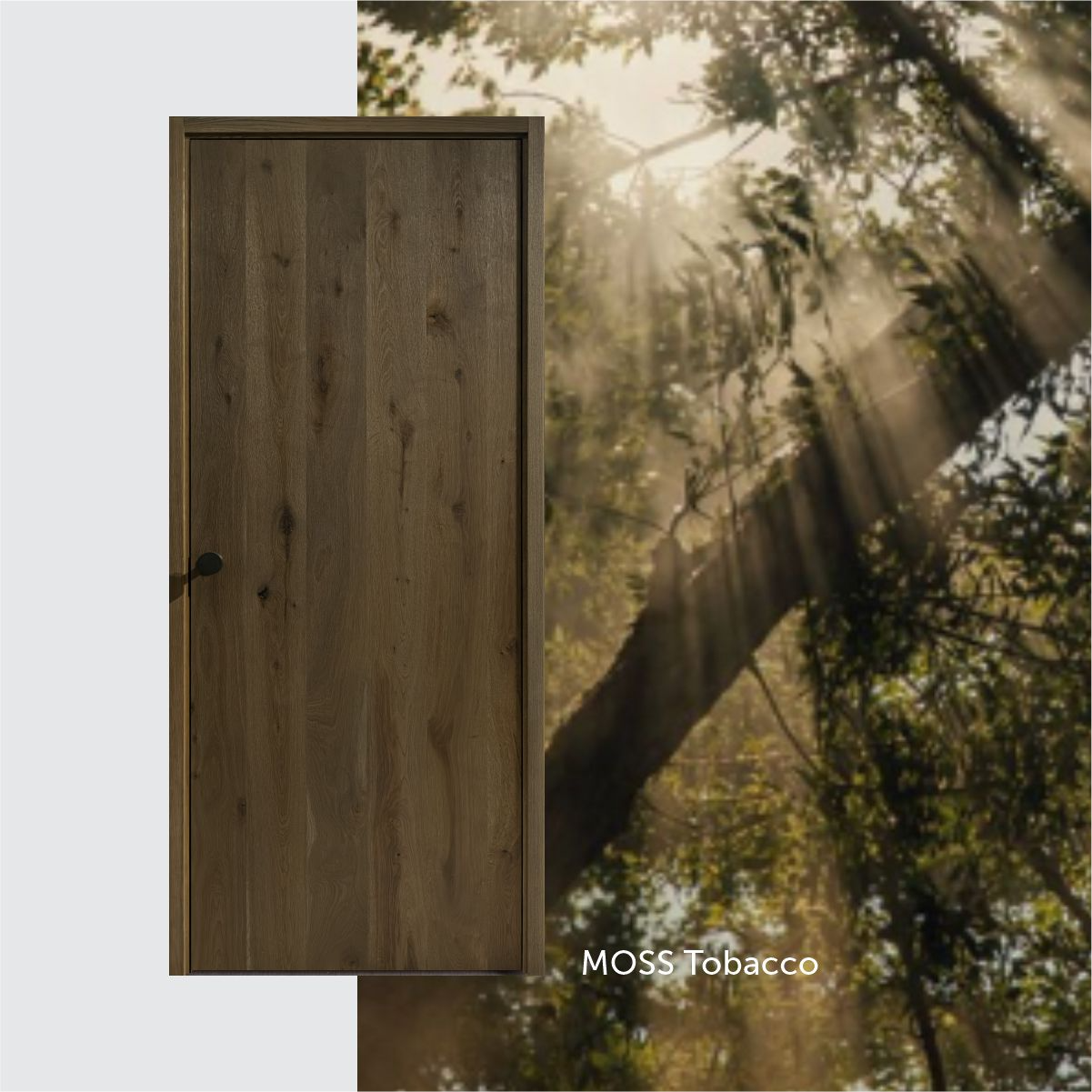 solid wood doors ecohardwood